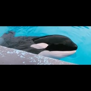 Meet your Posher, Jasher